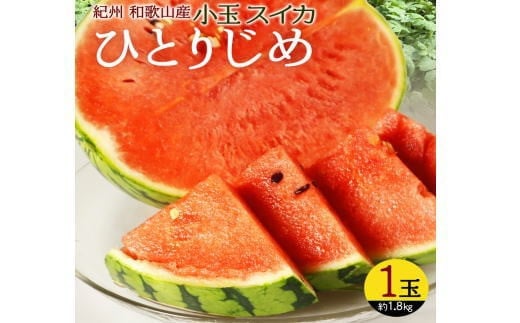 【先行予約】紀州和歌山産小玉スイカ「ひとりじめ」１玉【予約】※2026年6月上旬頃～7月上旬頃に順次発送予定(お届け日指定不可) スイカ すいか 果物【uot778】