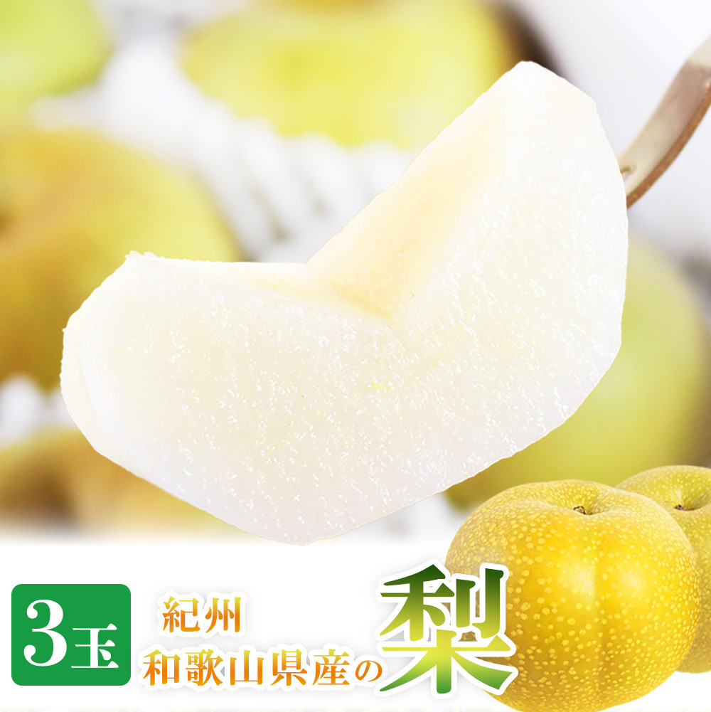 紀州和歌山産の梨 3玉 化粧箱入 ※2026年8月中旬頃〜2026年9月上旬頃に順次発送 ※日付指定不可 梨 なし ナシ 果物 くだもの フルーツ 甘い【uot787】