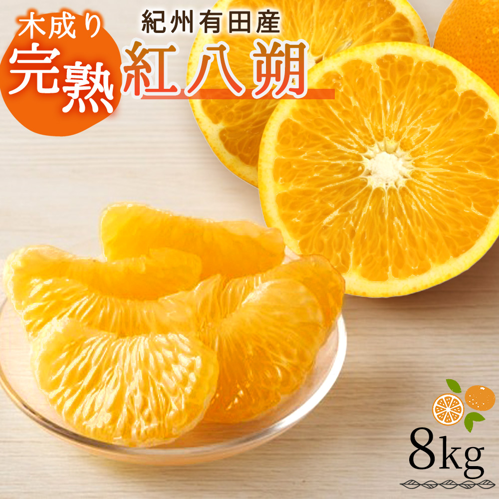 【先行予約】紀州有田産木成り完熟紅八朔８kg ※2026年2月末頃〜2026年3月中旬頃に順次発送予定（お届け日指定不可）/和歌山 有田 みかん フルーツ【uot795】