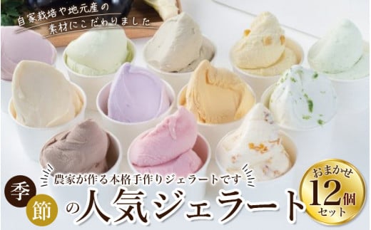 【キミノーカ選りすぐり】ジェラート12個セット 【2月発送】 / ジェラート アイス アイスクリーム キミノーカ スイーツ 大人気 牛乳 ギフト 夏 デザート 子供 バラエティセット おやつ ご褒美 定番 季節の 野菜 と 果物 使用 送料無料 和歌山【kmk002-2】