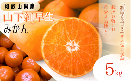 【先行予約】秀品 「紅娘」 温州 みかん  山下紅早生 5kg 【S~2Lサイズおまかせ】【2025年11月下旬～2025年12月中旬までに順次発送】＜味好農園＞ /温州みかん みかん 蜜柑 柑橘 山下早生 早生 秀品 紅早生 フルーツ 果物 くだもの 希少【agy001】