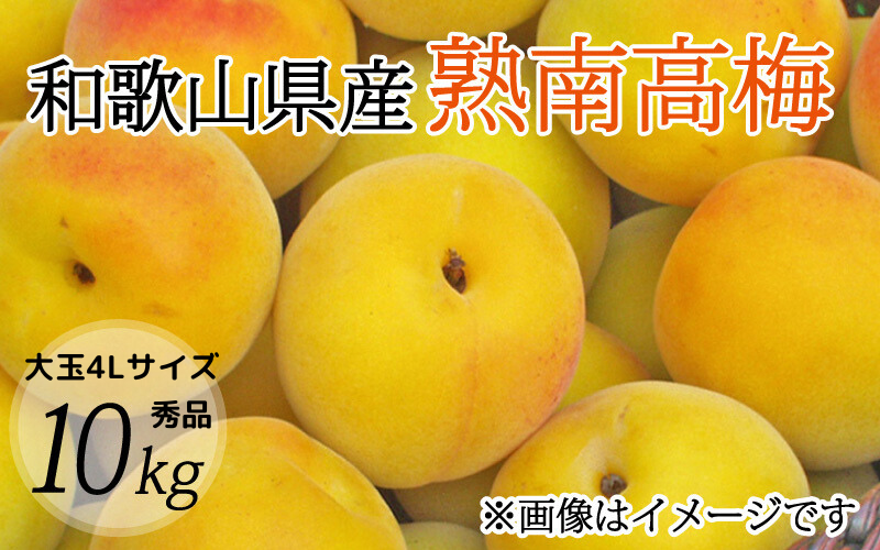 [梅干・梅酒用]大玉4Lサイズ10Kg熟南高梅 秀品[2025年6月上旬〜7月上旬ごろに順次発送予定][art022]