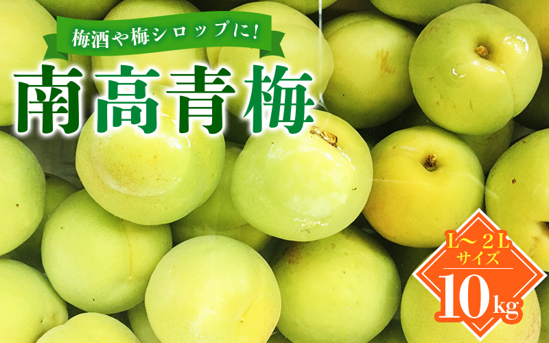 [受付は6月10日まで!][数量限定]L〜2Lサイズおまかせ 和歌山県産 南高青梅 10kg[2025年6月中旬より順次発送致します。][JAながみね]/ 青梅 梅 南高梅 [jan005]