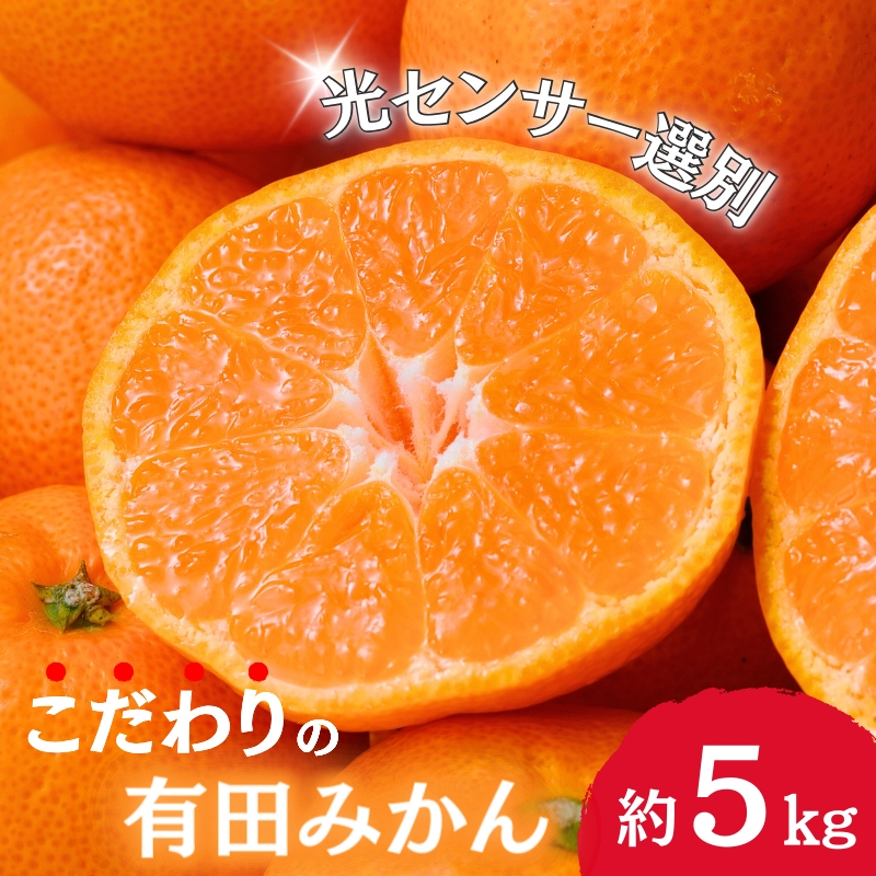 [2024年11月発送予約分]＼光センサー選別/ [農家直送][家庭用]こだわりの有田みかん 約5kg+150g(傷み補償分) 先行予約 有機質肥料100% サイズ混合 [11月発送] ※北海道・沖縄・離島配送不可/みかん ミカン 有田みかん 温州みかん 柑橘 有田 和歌山 産地直送[nuk160-1]