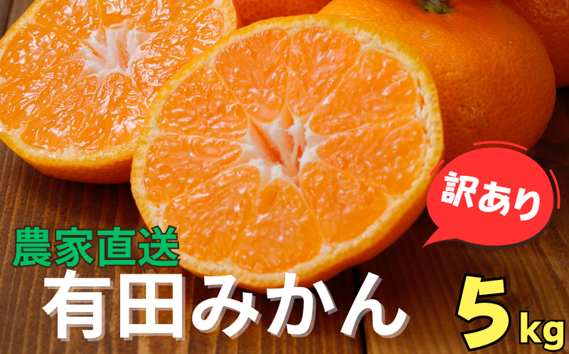 [訳あり]農家直送 有田みかん 約5kg ご家庭用 サイズ混合 ※2024年11月中旬から2025年1月中旬までに順次発送予定(お届け日指定不可)※北海道・沖縄・離島への配送不可 訳ありみかん 温州みかん サイズ混合 訳ありみかん 柑橘 有田 産地直送[nuk161]