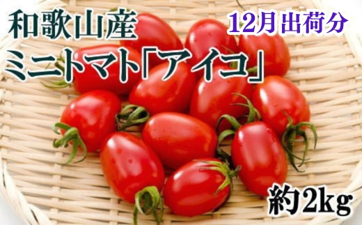 [12月出荷分]和歌山産ミニトマト「アイコトマト」約2kg(S・Mサイズおまかせ) / トマト 12月 先行予約 野菜 [tec100-12]