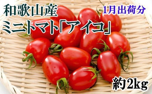 [2025年1月出荷分]和歌山産ミニトマト「アイコトマト」約2kg(S・Mサイズおまかせ) / トマト 1月 先行予約 野菜 [tec100-1]