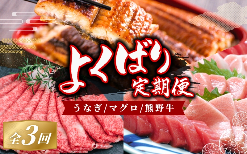 [ふるさと納税][3か月定期便]よくばりな定期便! うなぎ ・ 高級和牛 ・ マグロ 人気返礼品を3回お届け♪/本まぐろ まぐろ うなぎ 鰻 肉 牛肉 和牛 人気 冷凍 3回 定期便[tkb104]