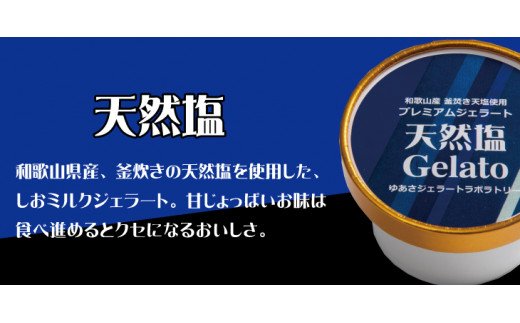 プレミアムジェラート 天然塩12個セット アイスクリームセット 100mlカップ ゆあさジェラートラボラトリー / アイス アイスクリーム ジェラート スイーツ [kmtb700-04]