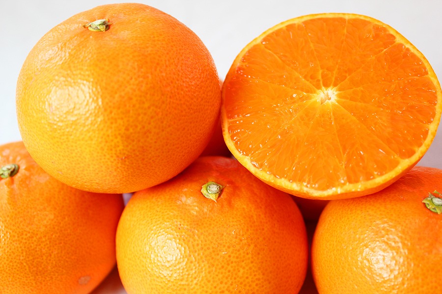 紀州有田産せとか約2.5kg　とろける食感！ジューシー柑橘【2026年2月上旬以降発送】【先行予約】【UT02】