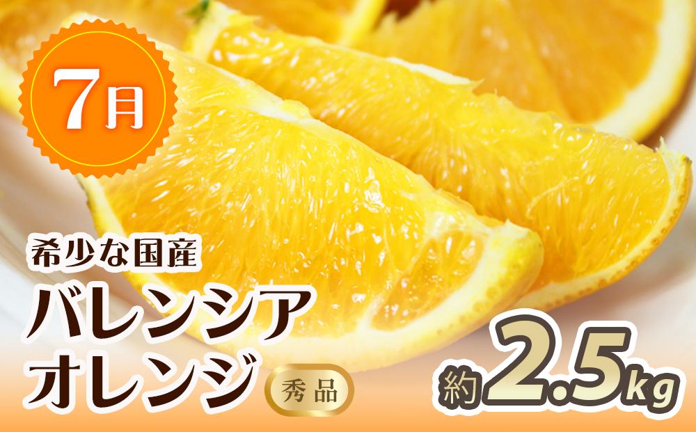 【7・8・10月 全3回】紀州和歌山産旬のフルーツセット（バレンシア・桃・ひらたねなし柿）【UT79】
