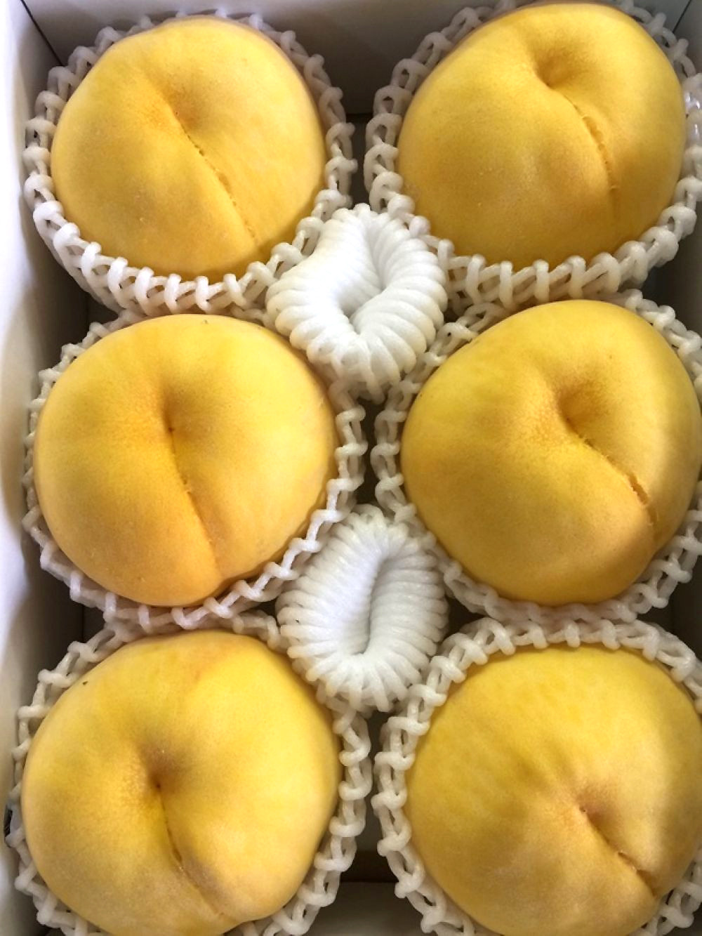 秋の味覚フルーツ定期便 黄桃(黄貴妃)約2kg＆紀の川柿 約2kg【9月・10～11月の計2回発送】