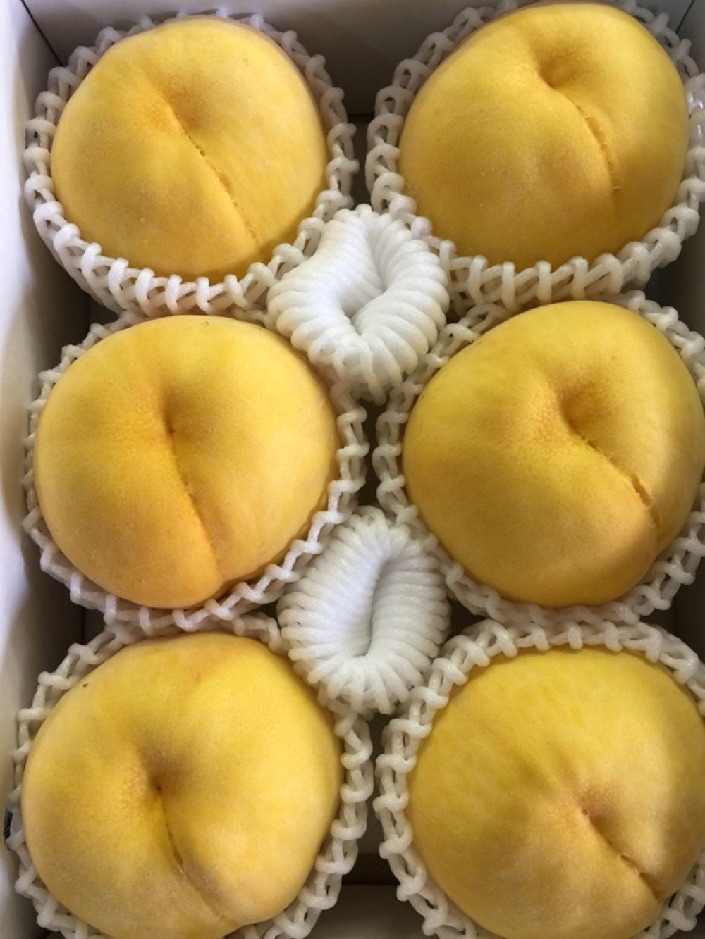 和歌山の黄桃(黄貴妃) 約2kg 【濃厚】 先行予約【9月上旬～中旬発送】