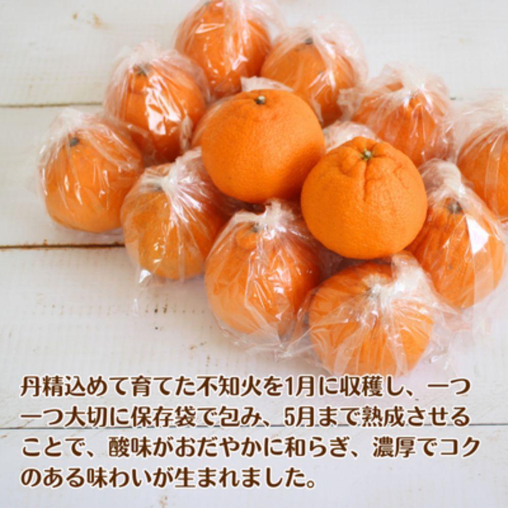 長期熟成しらぬい 約5kg 濃厚なコクと甘さ 農家直送 和歌山県産 【2026年5月発送】