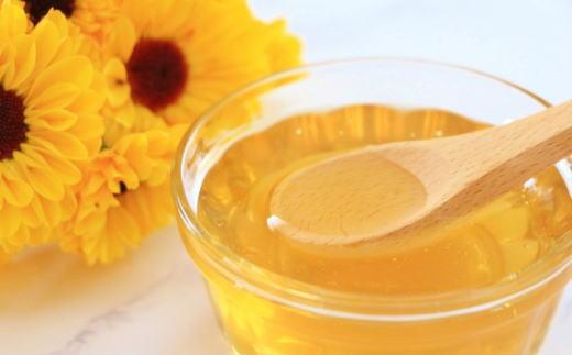 ［純粋国産］和歌山県産百花はちみつ600g★2026年7月下旬発送［TM56］