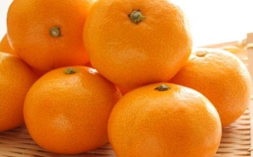 【産直・秀品】和歌山下津みかん約5kg（S～Lサイズおまかせ）★2025年11月中旬頃より順次発送【TM133】