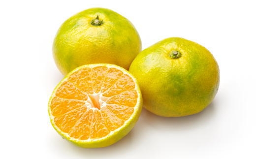 ［極早生みかんの逸品］和歌山県産ゆら早生みかん約5kg★2026年10月中旬頃より順次発送［TM120］