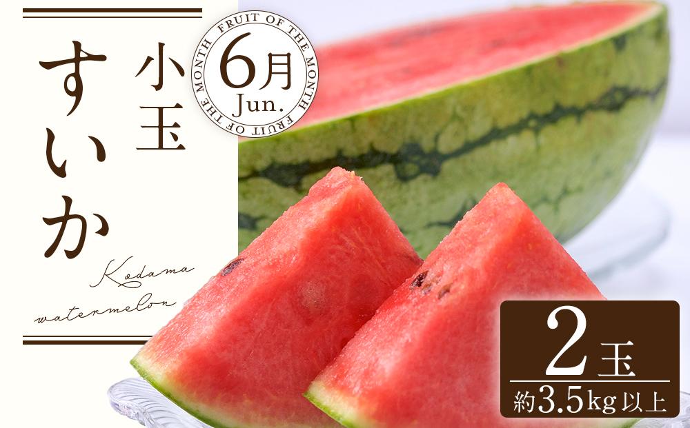 定期便全3回 和歌山の人気の夏のフルーツをお届け！ ［TM204］