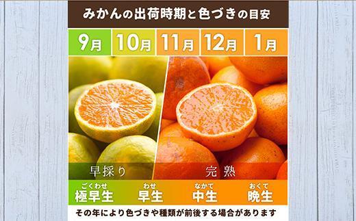 プレミアム 有田みかん1kg+250g（傷み補償分）［2025年10月上旬から2026年1月下旬頃順次発送予定］