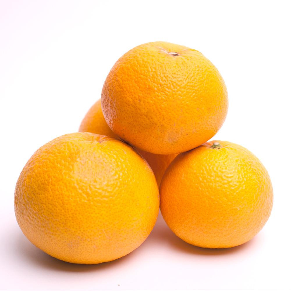 ［先行予約］厳選 樹上完熟はっさく2.5kg+250g（傷み補償分）［有田の春みかん・五月八朔・木生りはっさく］［光センサー選別］［IKE31］