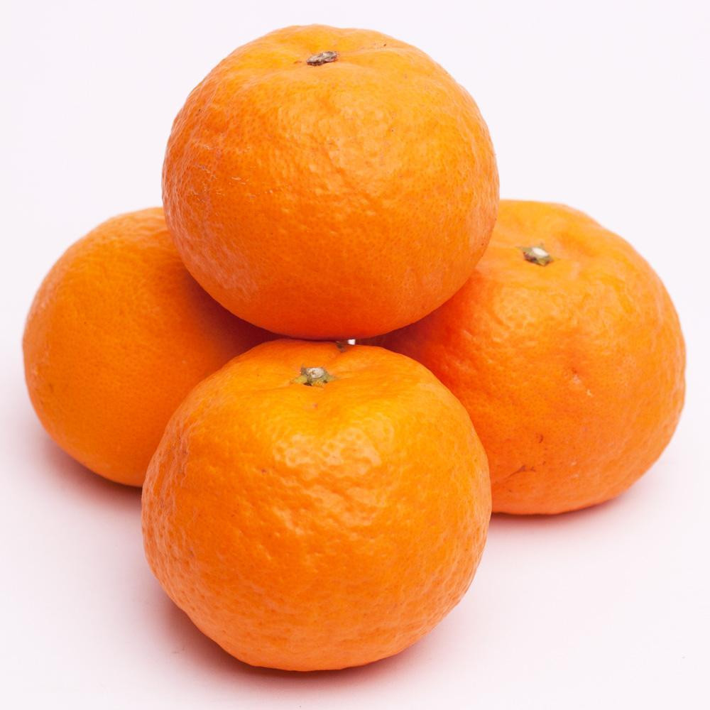 ［先行予約］厳選 カラマンダリン1kg+250g（傷み補償分）［南津海・なつみ］［希少な春柑橘］［みかんと同じように食べられます］［IKE65］