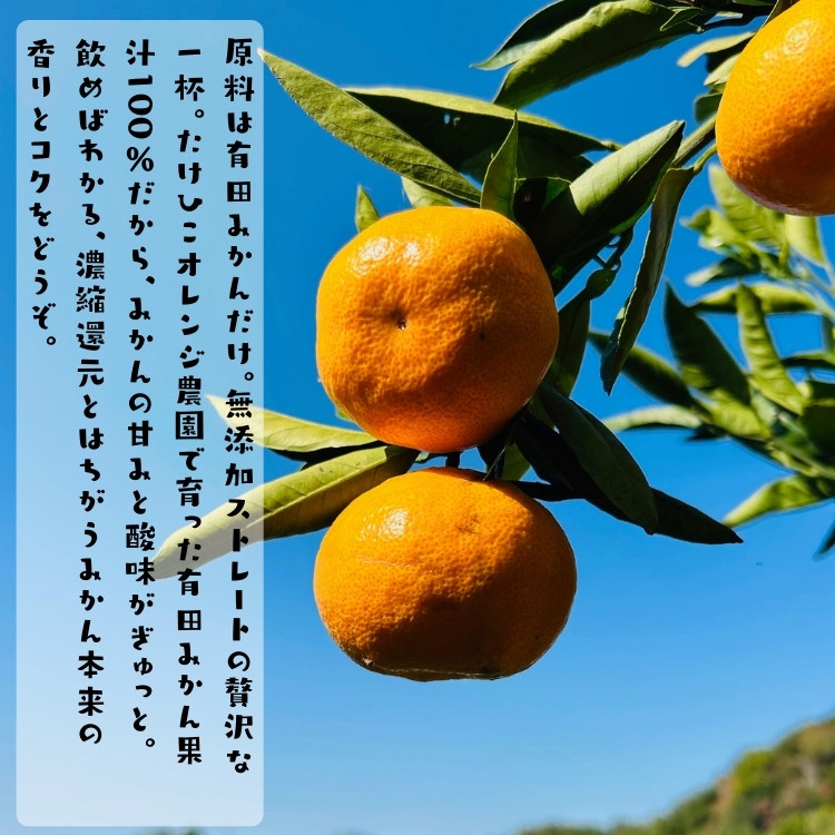 【無添加】有田みかん100%のジュース1,000ml×3本 みかんジュース 濃厚 柑橘 果物 フルーツ 甘い 100％ストレートジュース 【MS105】