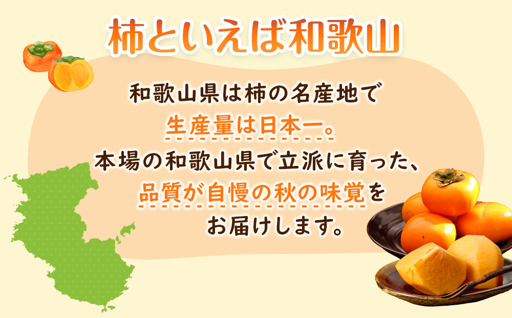 【2025年11月上旬以降発送】◆先行予約◆和歌山県産 富有柿＜ご家庭用＞約7.5kg 満杯詰め［MG2］
