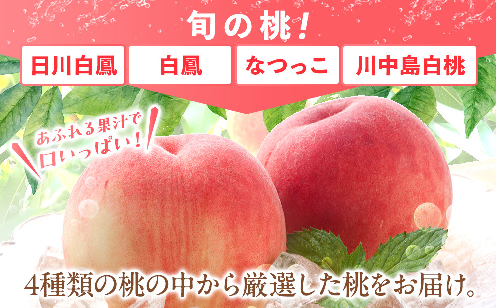 桃 極上秀品 約2kg 6～8個入［先行予約］［2026年6月下旬頃から順次発送］こだわり農家厳選［KG2］