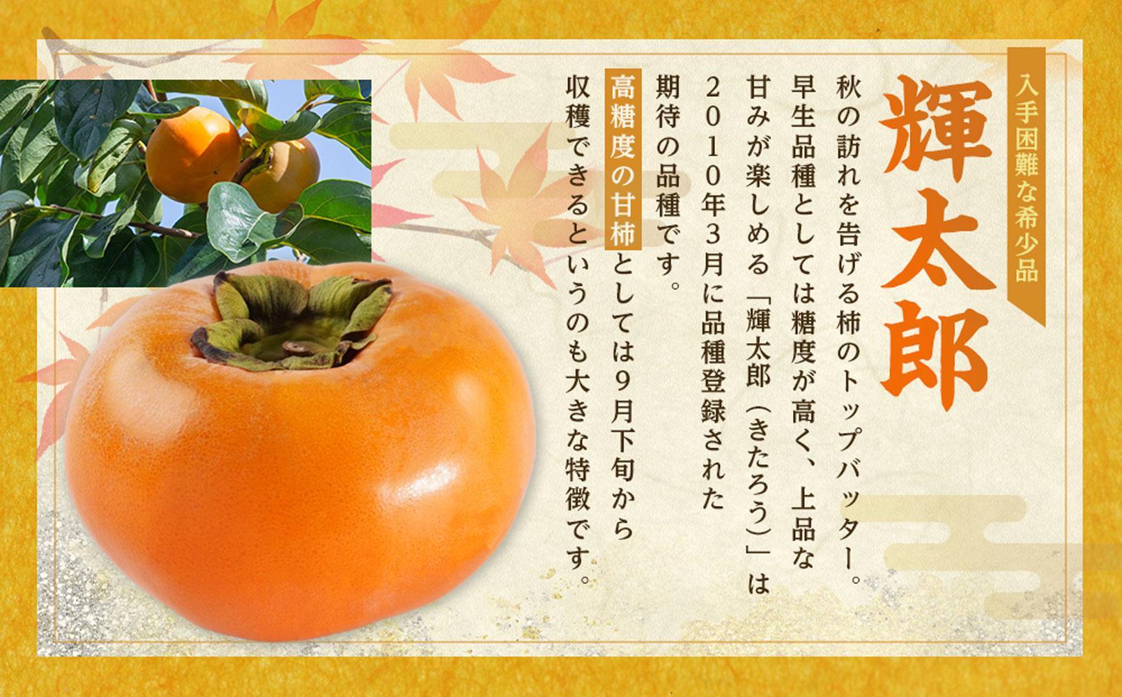 希少な柿［輝太郎］大玉6個～7個 コクのある甘さ！こだわり農家厳選［2026年9月末から10月末頃順次発送］［KG24］