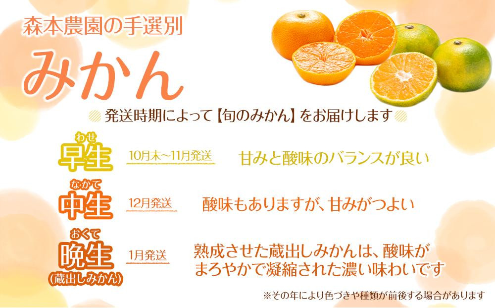 贈答用 森本農園の手選別 厳選みかん 約2kg 和歌山県産 2S~2Lサイズ混合 ［北海道・沖縄・離島配送不可］［2025年11月上旬から順次発送］［RN85］