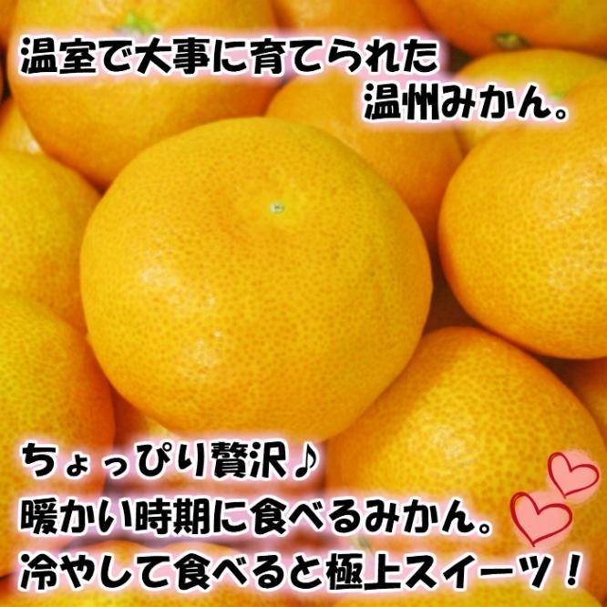 特撰品！和歌山有田の「ハウスみかん」【赤秀】約2.5kg 化粧箱入り（5月以降発送）【NGT3】