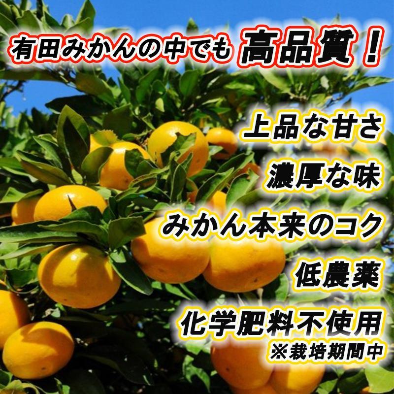 高級みかん秀 田村みかん 約10kg 【2025年12月発送分】【NGT12w】