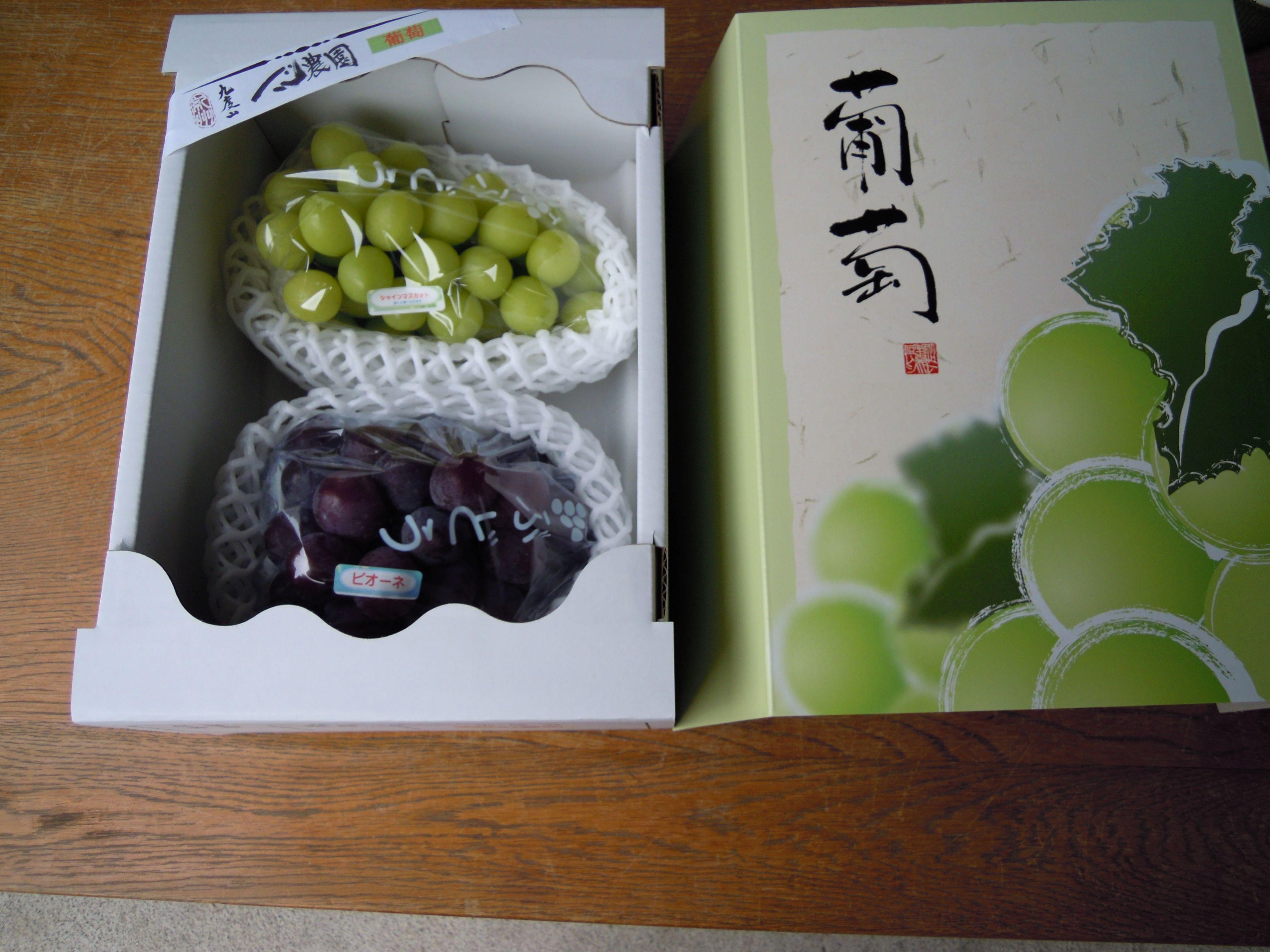 一心農園のブドウ　家庭用 約1.8kg 品種お任せ