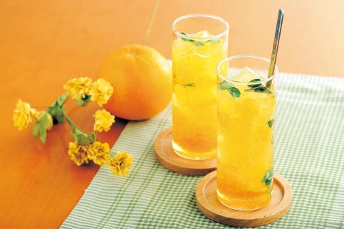 ◆先行予約◆和歌山県九度山町産 貯蔵八朔 10kg〈赤秀〉【2024年1月中旬以降出荷】