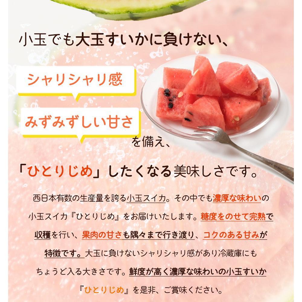紀州和歌山産 小玉スイカ「ひとりじめ」 1玉【2026年6月中旬頃～2026年7月上旬頃に順次発送】【UT85】
