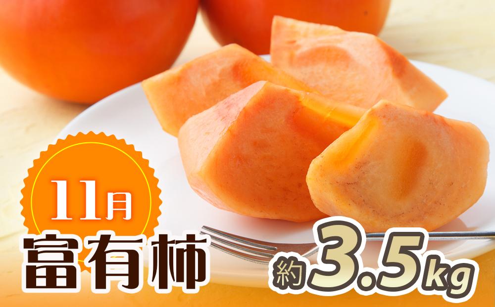 【10・11・12月 全3回】和歌山産 みかんと柿のお楽しみ 定期便 【魚鶴商店】【UT111】