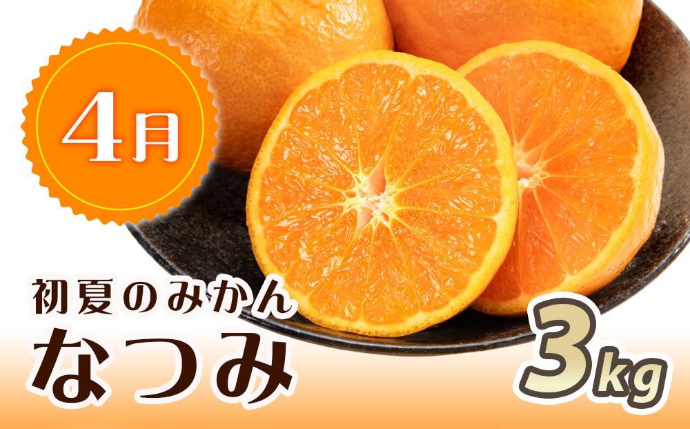 【1・4・7月 全3回】紀州和歌山産旬のフルーツセット（みかん・なつみ・バレンシア）【UT82】