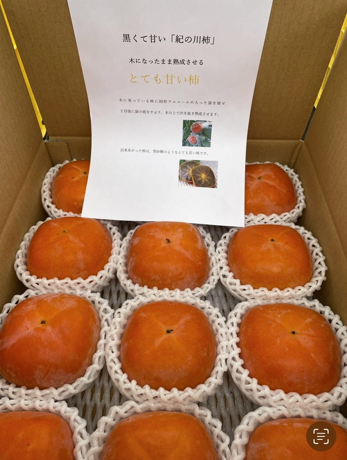 【2026年発送】黒の奇跡☆九度山の紀の川柿 3Lサイズ12個入 約3kg