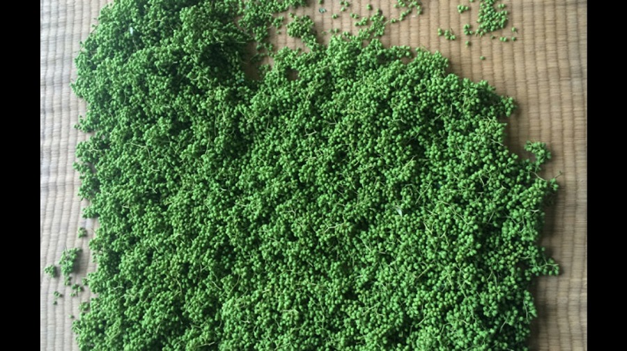 紀州ジューシーソーセージセット【SW2】