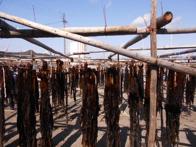 紀州衣奈産乾燥わかめ 150g×2パック（2026年産）［SL9］