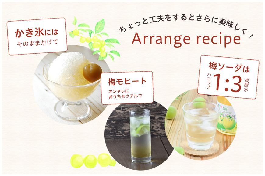 希釈用梅ドリンク 梅ハニップ 12本セット