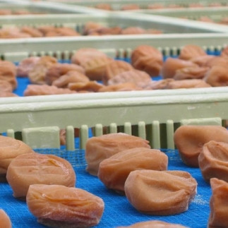 【贈答用】紀州南高梅 はちみつ入り味梅 400g 化粧箱入 【US22】