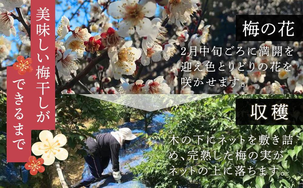 紀州南高梅使用　いちご風味完熟梅干し　400g［TM154］