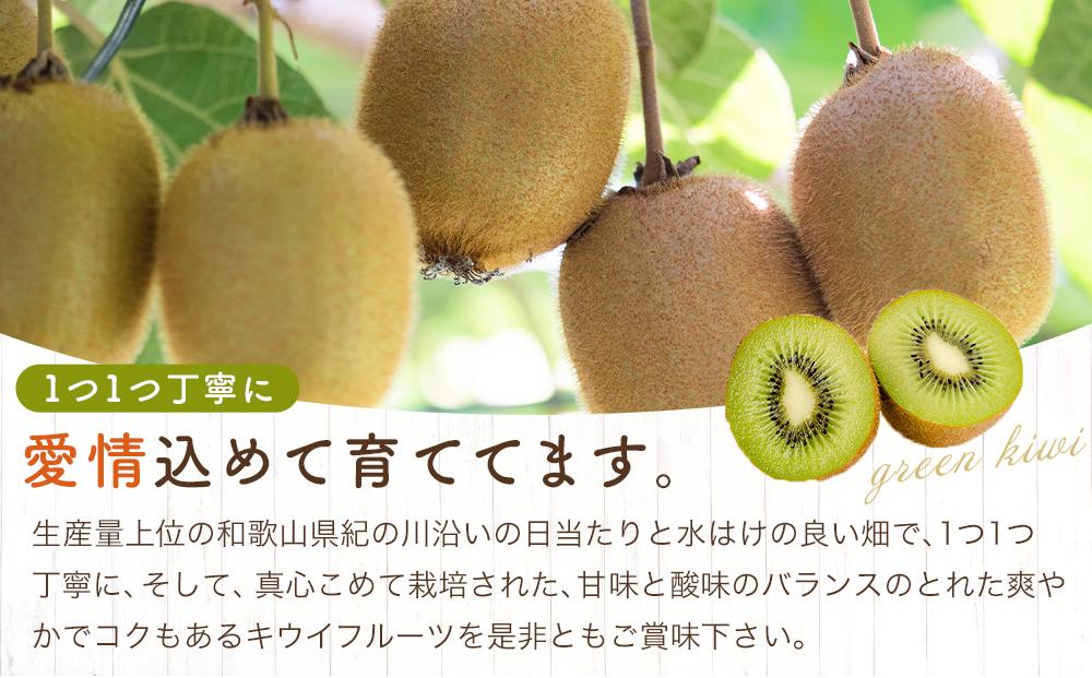 和歌山九度山町産 キウイフルーツ 約3.6kg (玉数おまかせ 24玉～36玉のいずれか 秀品)★ 2026年1月中旬頃より順次発送