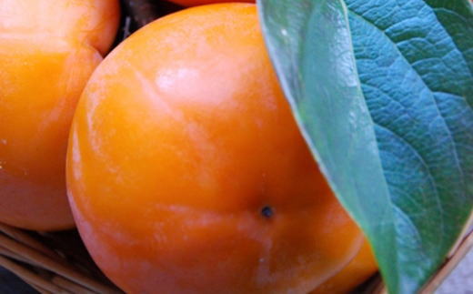  [甘柿の王様]和歌山産富有柿　約7.5kg サイズおまかせ★2025年11月上旬頃より順次発送【TM5】