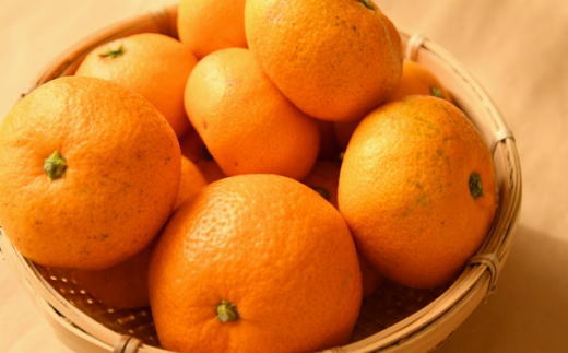 [訳あり]和歌山有田みかん約10kg(S～Lサイズいずれかお届け）★2025年11月中旬頃より順次発送［TM82］