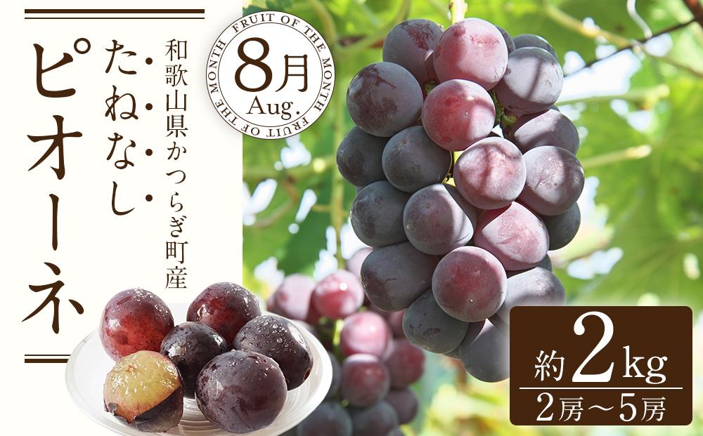 定期便全3回 【7月・8月・9月発送】 和歌山のフルーツをお届け（桃・たねなしピオーネ・シャインマスカット）【TM180】