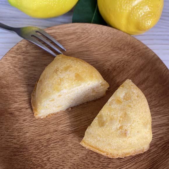 和歌山レモンケーキ スタンダード（12個入）