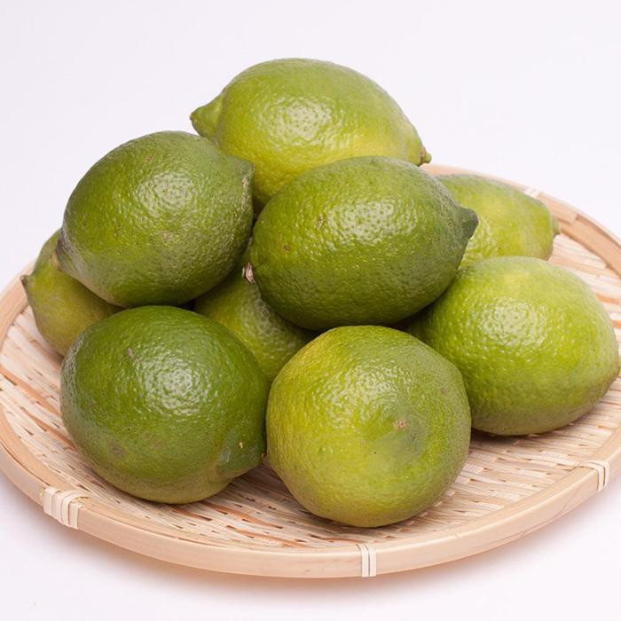 レモン2.5kg+250g（傷み補償分）【和歌山有田産】【防腐剤・WAX不使用、安心の国産レモン】［IKE127］