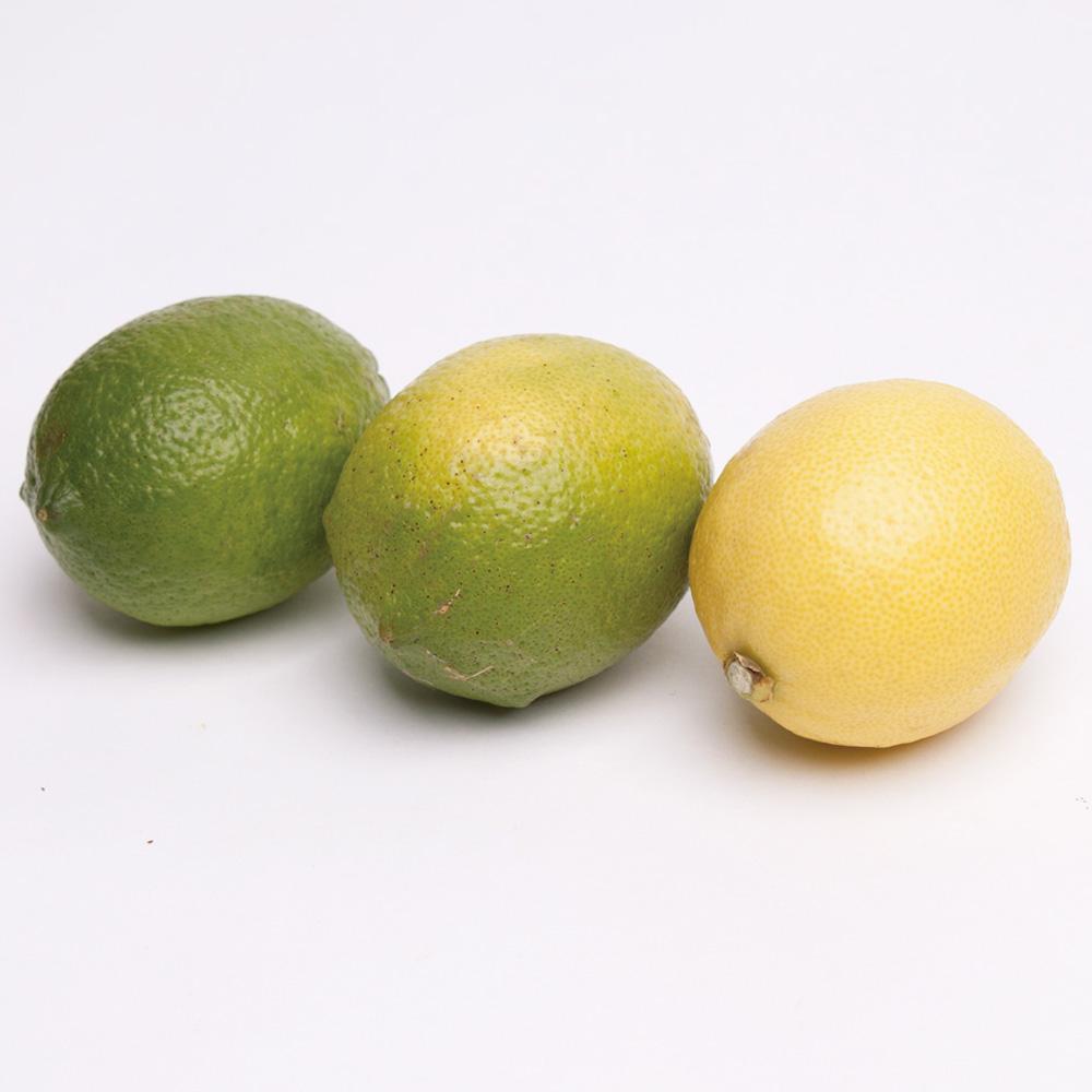 家庭用 レモン1kg+250g（傷み補償分）【和歌山有田産】【防腐剤・WAX不使用、安心の国産レモン】【わけあり・訳ありレモン】［IKE125］